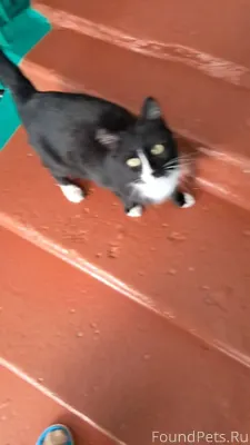 ‼️‼️‼️‼️‼️‼️Стбайская 3 под’ез...