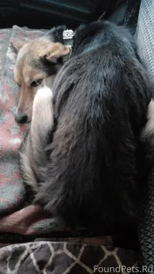 Уважаемые и неравнодушные друз...