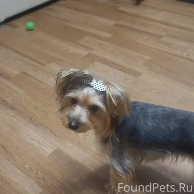 27 ЯНВАРЯ после 18ч. в районе....