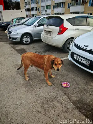 ‼️Друзья, сделайте пожалуйста ...