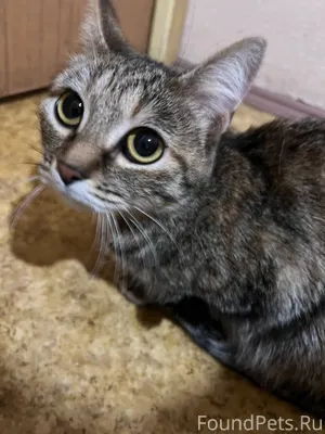 Москва, Братеево 23.01.2026 в....