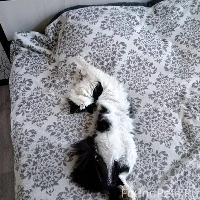 Админ пропусти🙏🙏🙏. В районе 5 ...