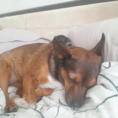 Здравствуйте мы с Краснодара п...