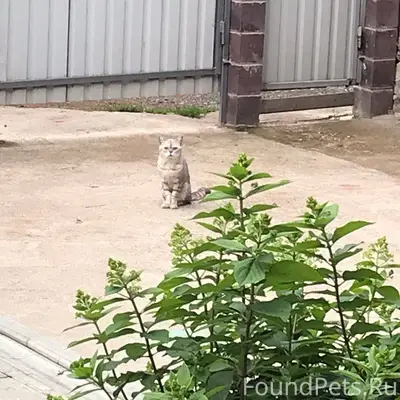 Добрый день 🌞 летом в наше...