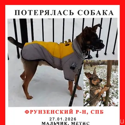 Добрый день У нас потерялась с...