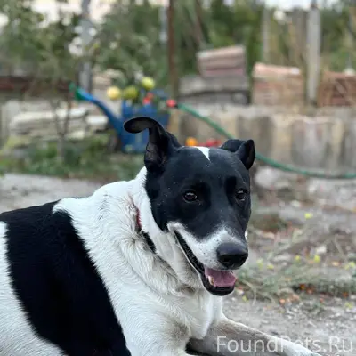 Помогите, пожалуйста, найти со...