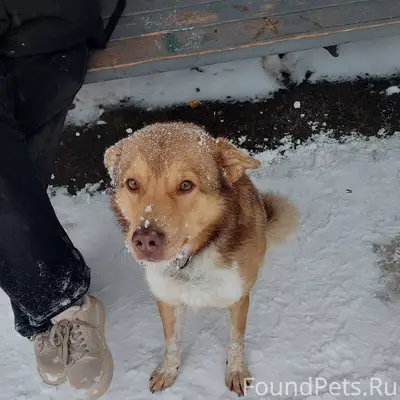 Щурово, остановка дк Цементник...