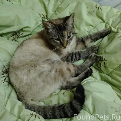 27.01.2026 около 20.00...