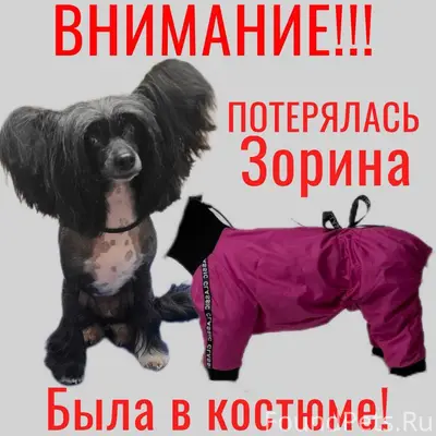 #зоринанайдись #вернитезорину ...