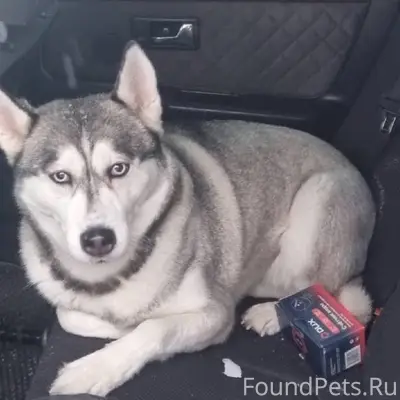 В селе Спасском на площади в.....