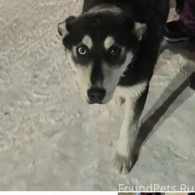 Сегодня, 29.01.26 в районе...