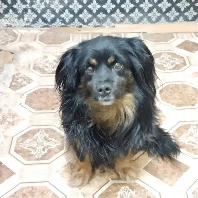 Прибился вот такой очаровашка,...