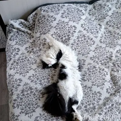 🙏🙏🙏. В районе 5 школы Лименды....