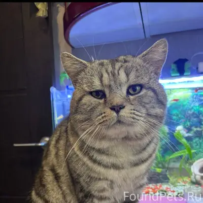 ‼️Внимание неравнодушным‼️Дере...