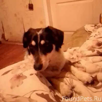 С А донская 40 лет победы...