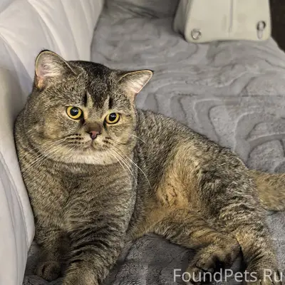 МЦЕНСК!!!!! В районе Белого ка...