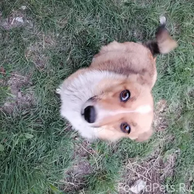 Здравствуйте кто нибудь вылили...