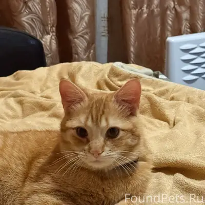 Жители Туапсе и Туапсинского р...