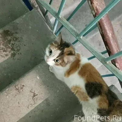 ‼️‼️‼️На Мира, 75 в подъезде н...