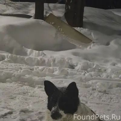 Добрый вечер 2 дня назад ,на.....