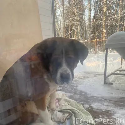 Помогаю информационно ♦️МО, Ис...