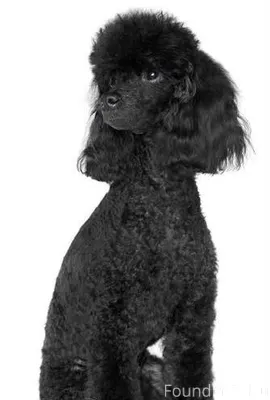 В ноябре прошлого года была на...