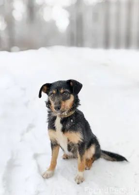 Вот такая кроха была найдена н...