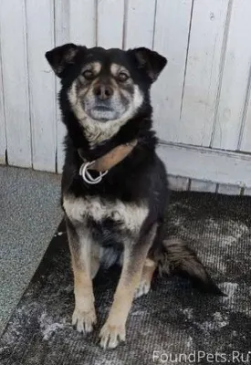 Помогаю информационно ‼️ Улан-...