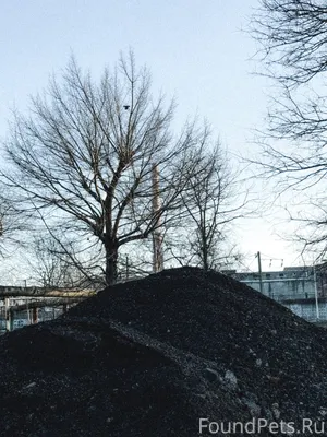 Краснодарская зима ❄️ В поиска...