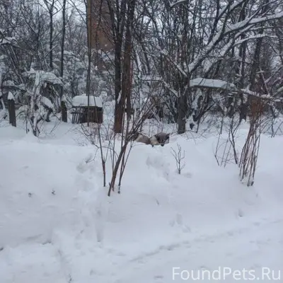 Кашира! Московская область! Оч...