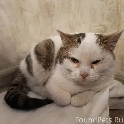 Вот такой подснежник оттаивал ...