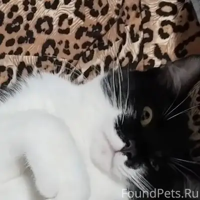 Добрый вечер, у меня пропал ко...