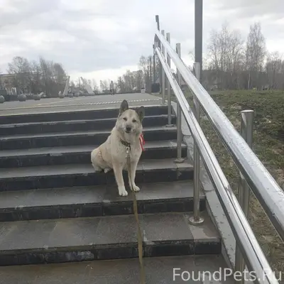 ВНИМАНИЕ ⚠️ РОЗЫСК Вчера, в ра...