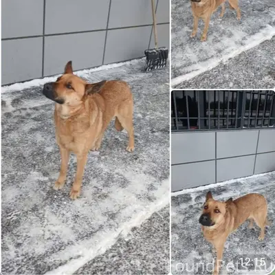 Помогаю информационно ! Нужна ...