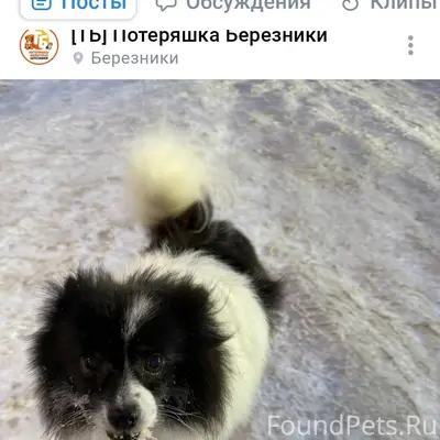 Кто знает Раису Куземову (Барт...