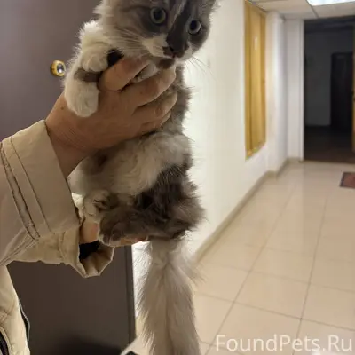 Помогаем информационно📣 Найден...