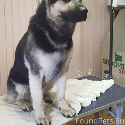 1.01 вечером во время фейервер...