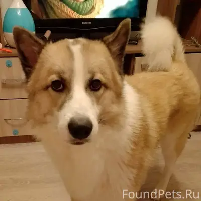 Прошу максимальный репост, пот...