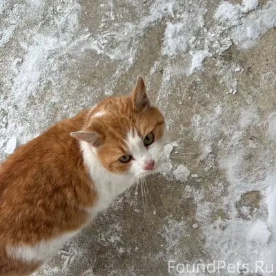 Здравствуйте! Не знаю, куда пи...