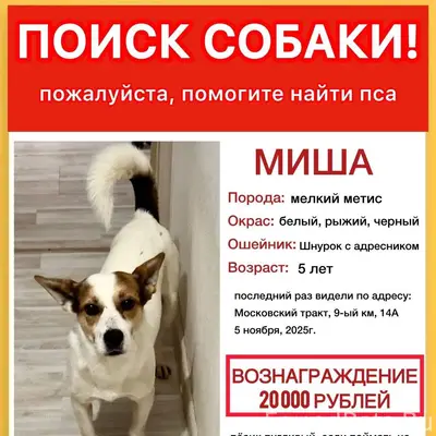 Екатеринбург и Свердловская об...