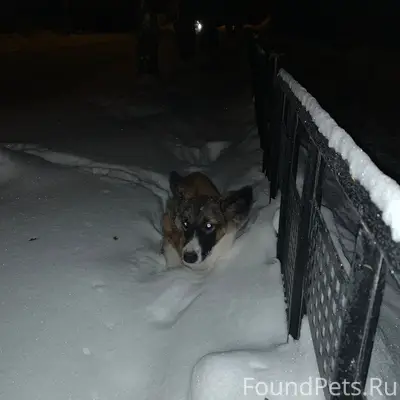 На улице Горького , напротив Д...