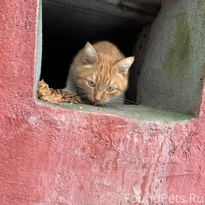Срочно ‼️помогите найдитесь ст...