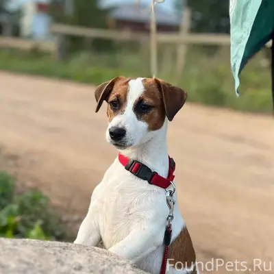 03.01.26 примерно в 20...