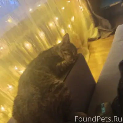 Писала уже пост , но попробую ...