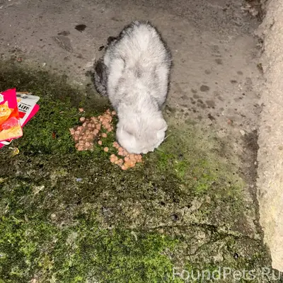 🆘🆘🆘 Зугрэс По ул. Ленина 7...