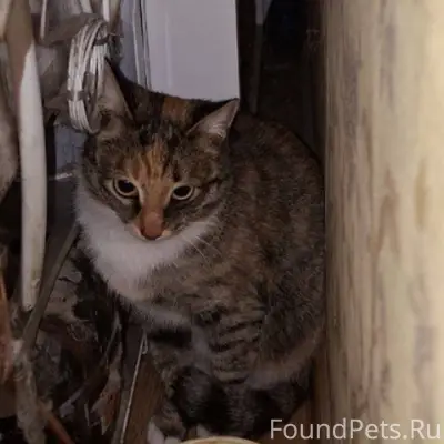 Здравствуйте Мы по срочному вы...