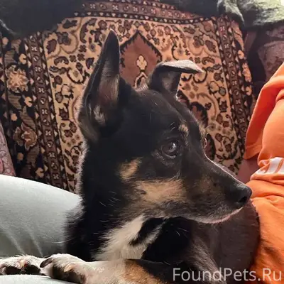 Здравствуйте! Вчера 02.01.2025...