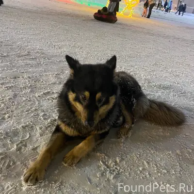 Админ опубликуй пожалуйста 🙏 Ч...