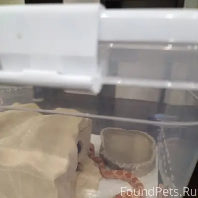 #Возвращениеблудногосына🙏 Кажд...