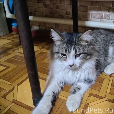 Здравствуйте! 03.01.26 в ПГТ.....